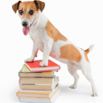 Dog with Books