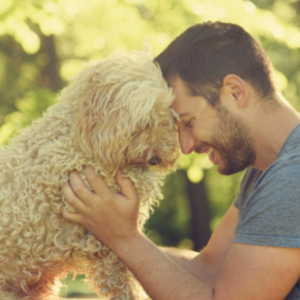 Dog and Man nuzzling