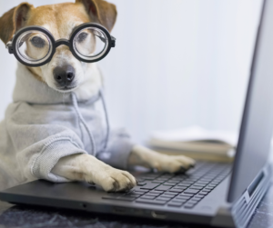 Dog at computer