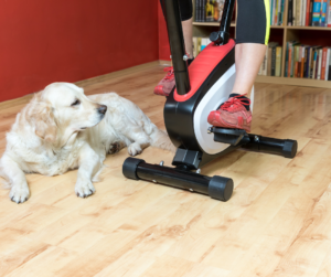 Dog lying next to person on Peloton