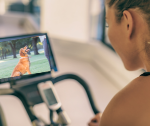 Woman on bike watching dog training on screen