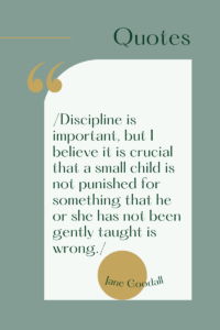 Quotation "Discipline is important, but I believe it is crucial that a small child is not punished for something that he or she has not been gently taught is wrong."