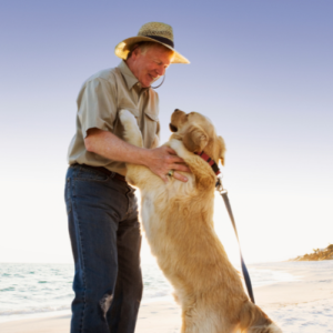 Big dog jumping on man