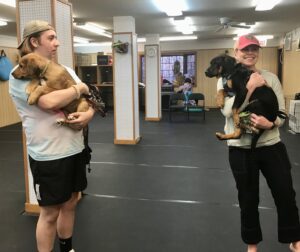 People holding puppies