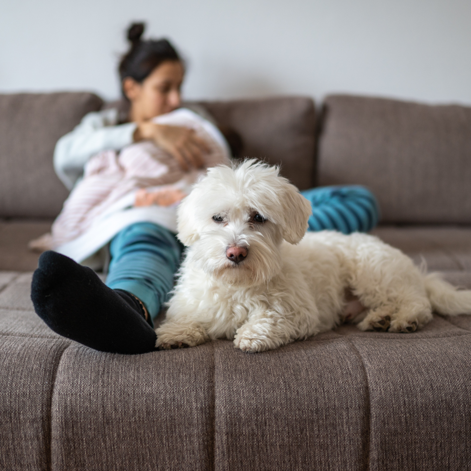 Person in bed holding baby with dog nearby