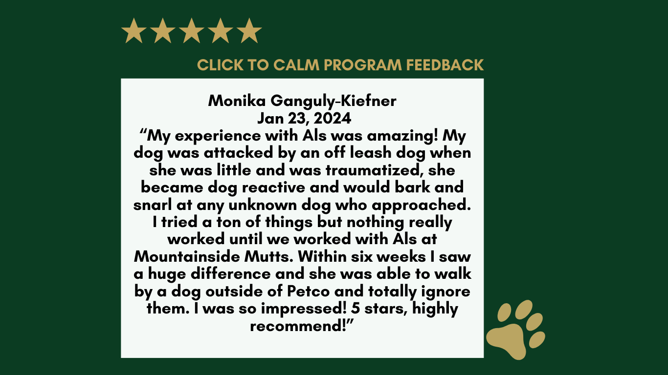 5 star google review