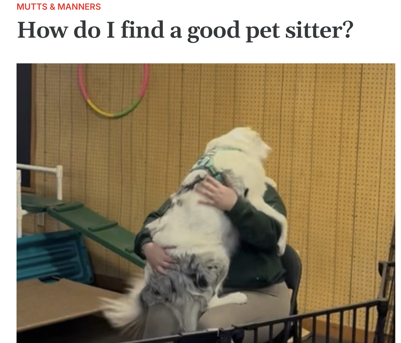 Alyssa from Mountainside Mutts with an Australian Shepherd on her lap