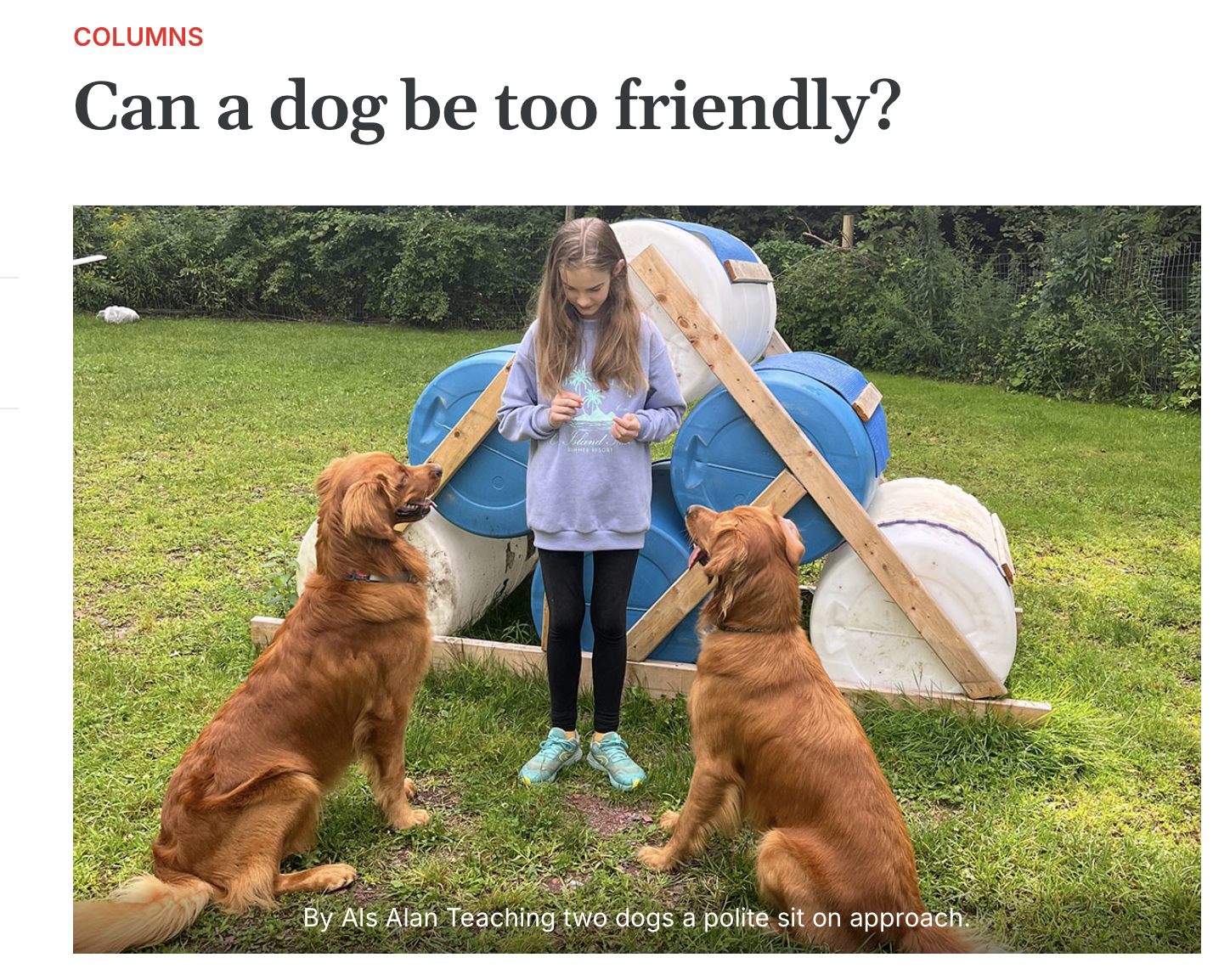 Picture of girl training 2 dogs to sit