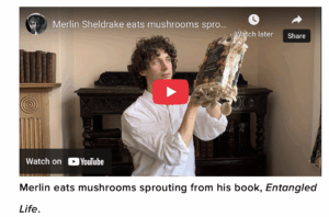 Image of the author displaying his book covered in Oyster mushrooms