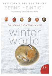 Book cover for Winter World
