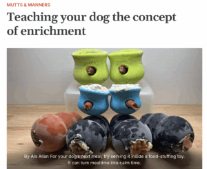 Frozen Westpaw Toppls and Kongs