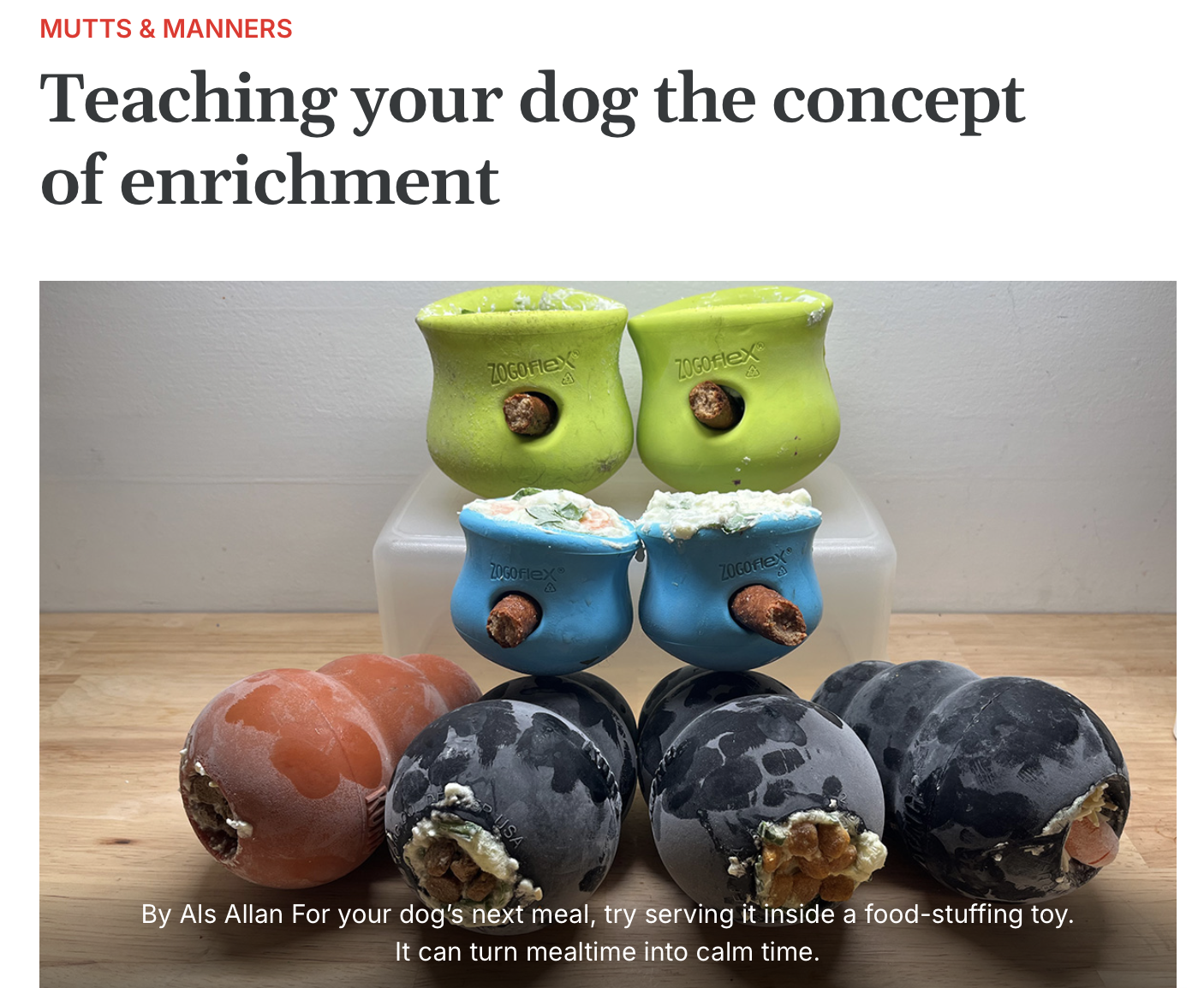 Frozen Westpaw Toppls and Kongs