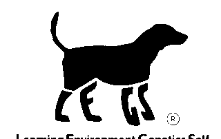 Image of black dog with LEGS